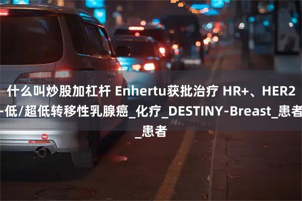 什么叫炒股加杠杆 Enhertu获批治疗 HR+、HER2-低/超低转移性乳腺癌_化疗_DESTINY-Breast_患者