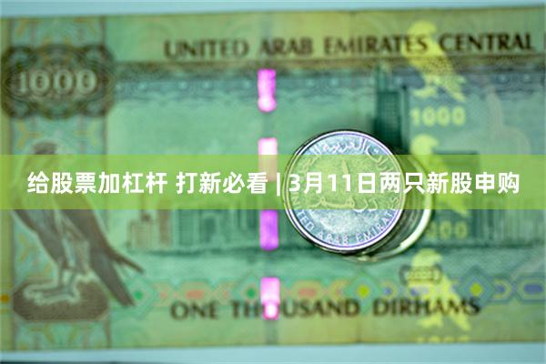 给股票加杠杆 打新必看 | 3月11日两只新股申购