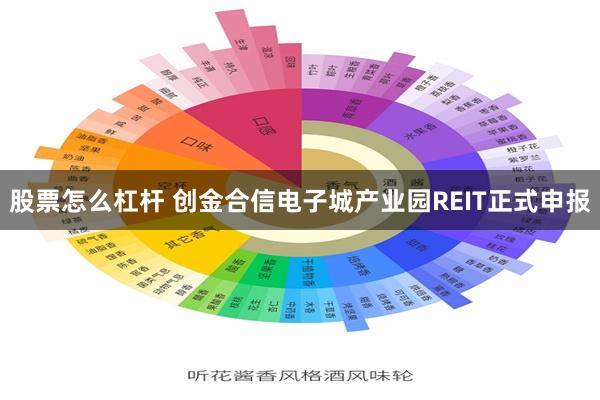股票怎么杠杆 创金合信电子城产业园REIT正式申报