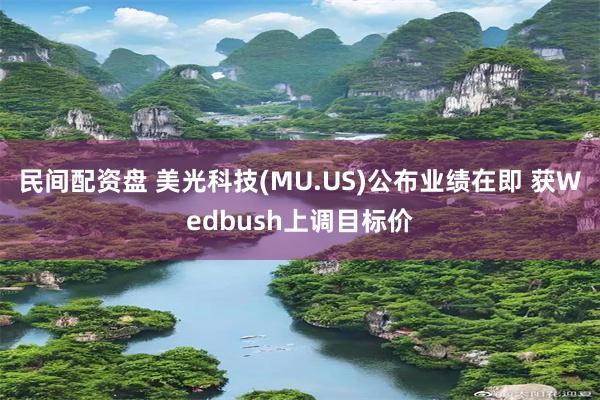 民间配资盘 美光科技(MU.US)公布业绩在即 获Wedbush上调目标价