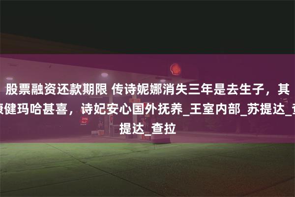 股票融资还款期限 传诗妮娜消失三年是去生子，其子康健玛哈甚喜，诗妃安心国外抚养_王室内部_苏提达_查拉