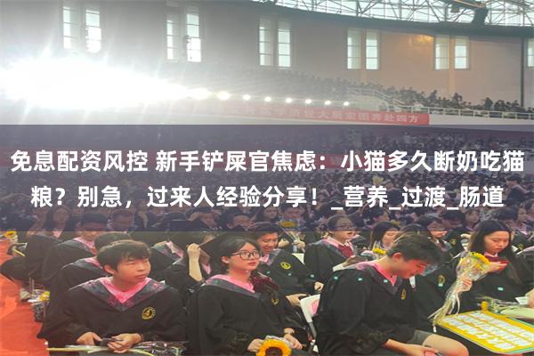 免息配资风控 新手铲屎官焦虑：小猫多久断奶吃猫粮？别急，过来人经验分享！_营养_过渡_肠道