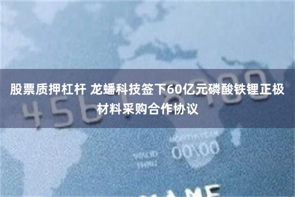 股票质押杠杆 龙蟠科技签下60亿元磷酸铁锂正极材料采购合作协议